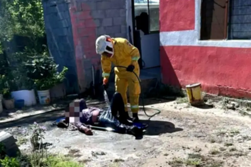 Hombre sufre ataque de 100 abejas en Terán, Nuevo León: emergencia sanitaria