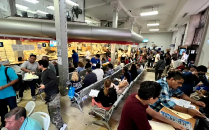 Horarios de Oficinas Recaudadoras en Jalisco: Evita Saturación en Trámites Vehiculares