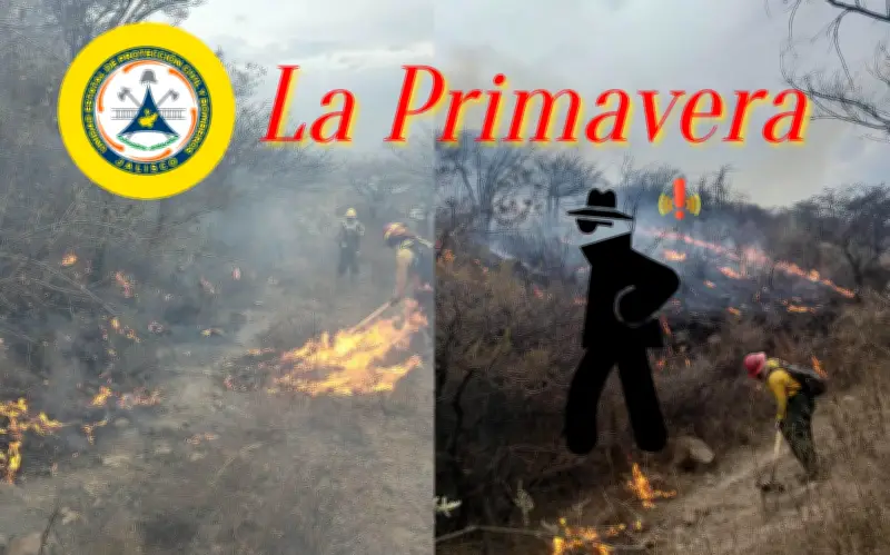 Identifican a posible responsable del incendio en Bosque La Primavera en Jalisco