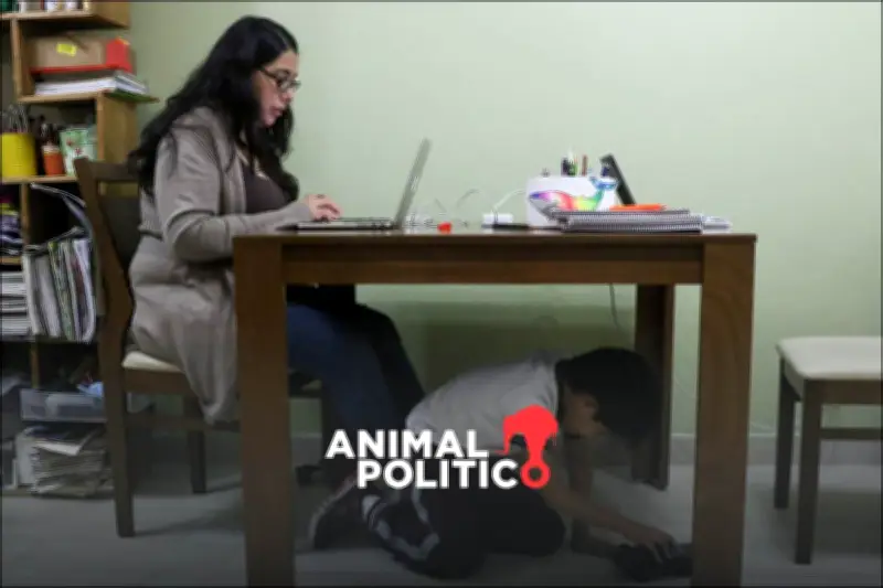 IMCO revela: 120 años de avance laboral femenino sin igualdad económica en México