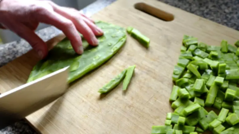 IMSS confirma que el nopal ayuda a controlar la diabetes como complemento alimenticio