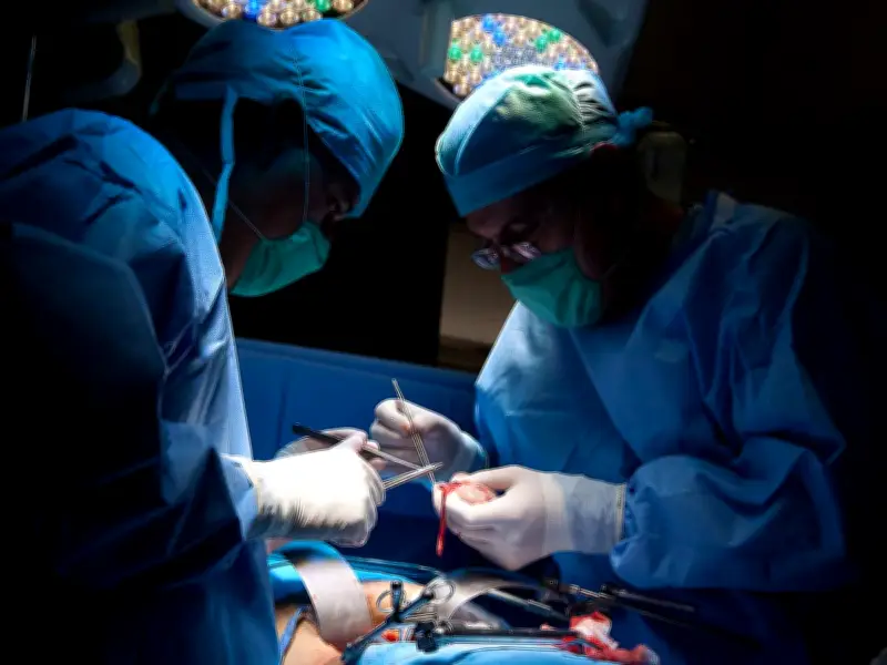 IMSS fija ambiciosa meta de 4,581 trasplantes para 2026 con nueva estrategia nacional