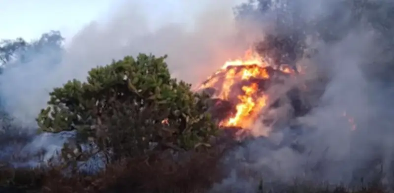 Incendio consume 25 hectáreas en zona arqueológica de Tula, Hidalgo