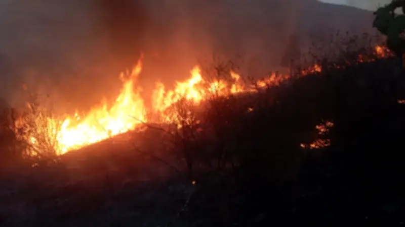 Incendio Devasta Sierra de Guadalupe en Tlalnepantla; Bomberos Luchan por Controlarlo