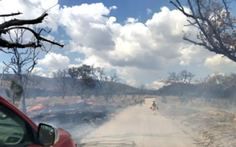 Incendio en Bosque La Primavera activa alerta atmosférica en Jalisco