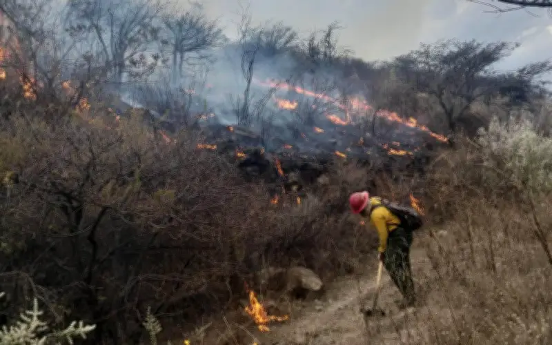 Incendio en Bosque La Primavera afecta más de 200 hectáreas; alerta atmosférica persiste