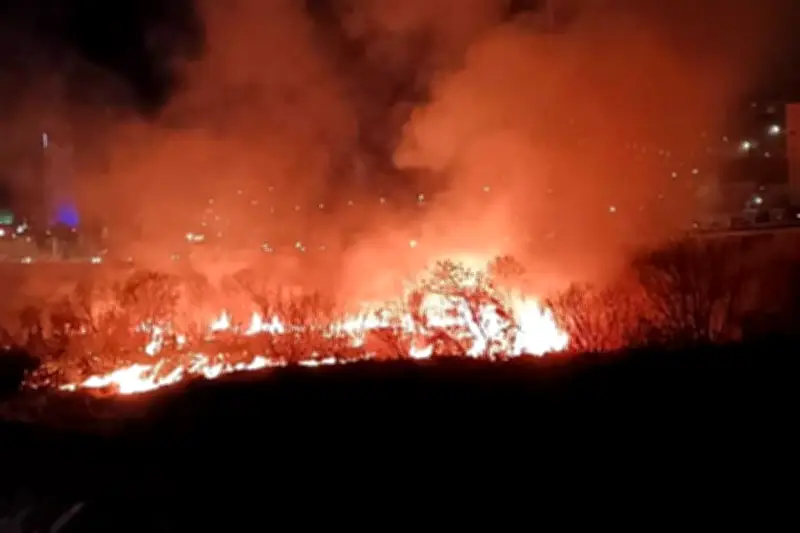 Incendio en el lecho del Río Santa Catarina en Monterrey causa alarma ambiental