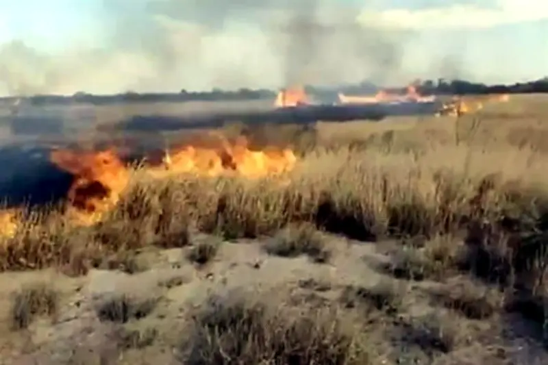 Incendio en pastizal de El Carmen afecta hectáreas y moviliza a bomberos
