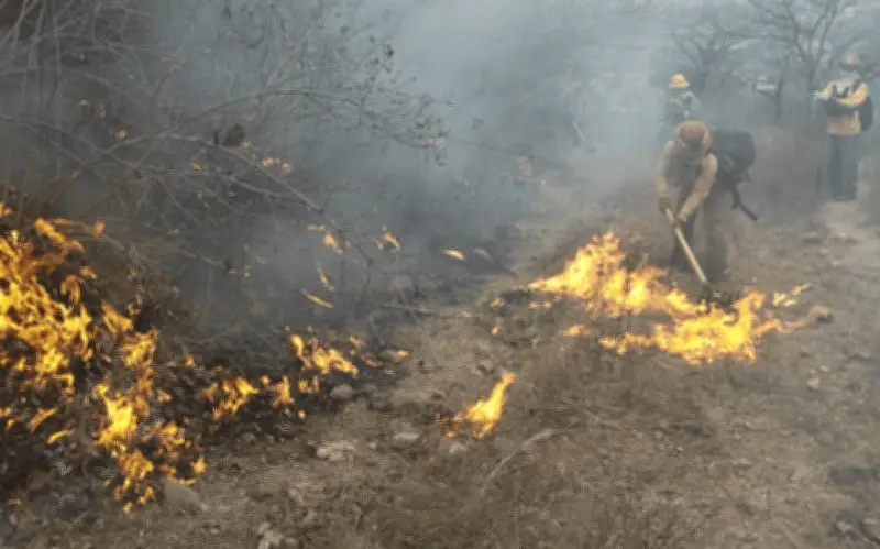 Incendio forestal activo en Bosque La Primavera de Jalisco; Protección Civil moviliza brigadas