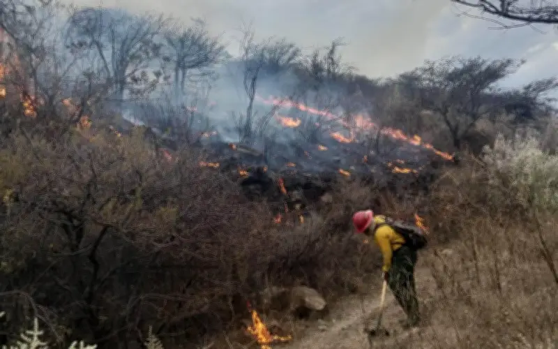 Incendio forestal arrasa más de 100 hectáreas del Bosque La Primavera en Jalisco