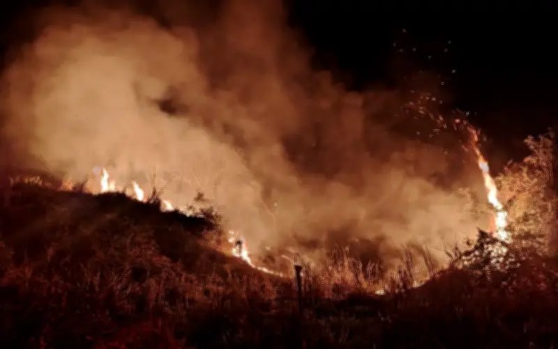 Incendios en pastizales de Puerto Vallarta mantienen en alerta a Protección Civil y Bomberos