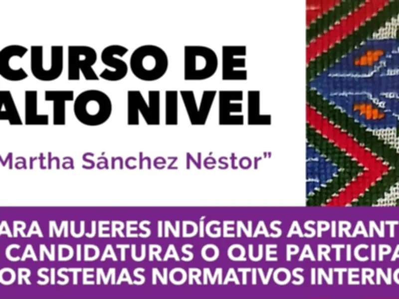INE y OEA lanzan curso para 500 mujeres indígenas aspirantes a cargos políticos