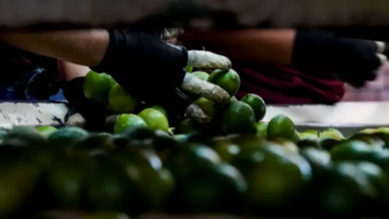 Inflación en México repunta a 4.02% en febrero de 2026, con alimentos como limón y jitomate liderando alzas