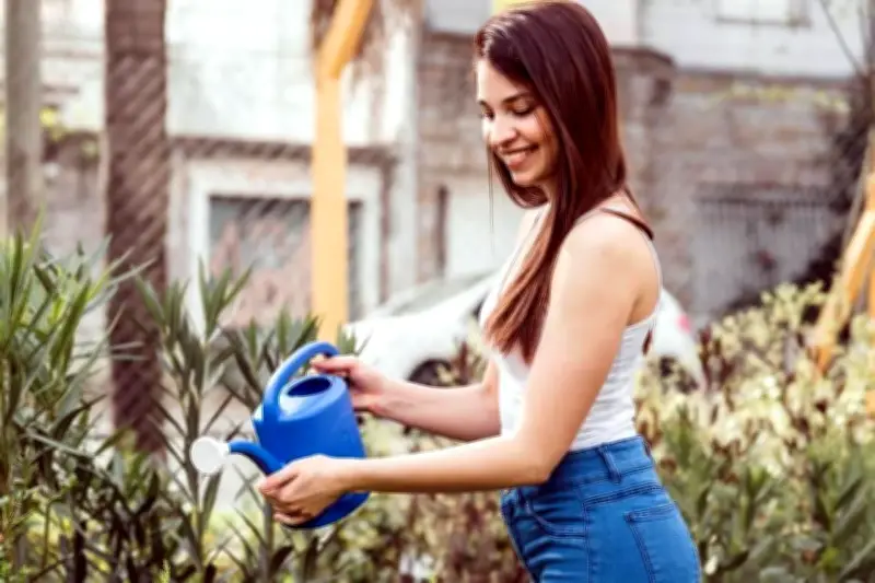 Iniciativa 'A Florecer' busca revitalizar espacios públicos en Nuevo León