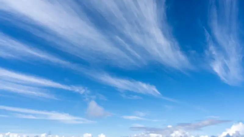Irapuato enfrenta fuertes ráfagas de viento superiores a 50 km/h este sábado