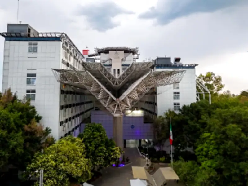 ISSSTE realiza vertebroplastia exitosa a adulta mayor con osteoporosis grave