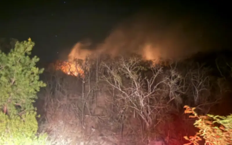 Jalisco: Brigadistas combaten incendios forestales en Cabo Corrientes sin control