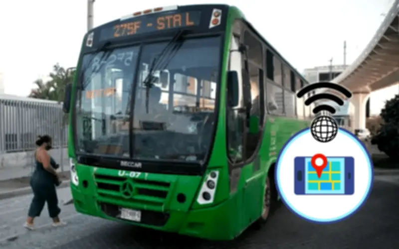 Jalisco implementa rastreo en tiempo real de transporte público en Google Maps