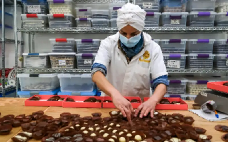 Jalisco revierte caída de empleo en febrero tras pérdidas en diciembre y enero