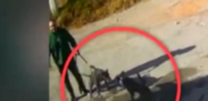 Joven con autismo pateado en Pachuca exige cárcel para su agresor tras brutal ataque