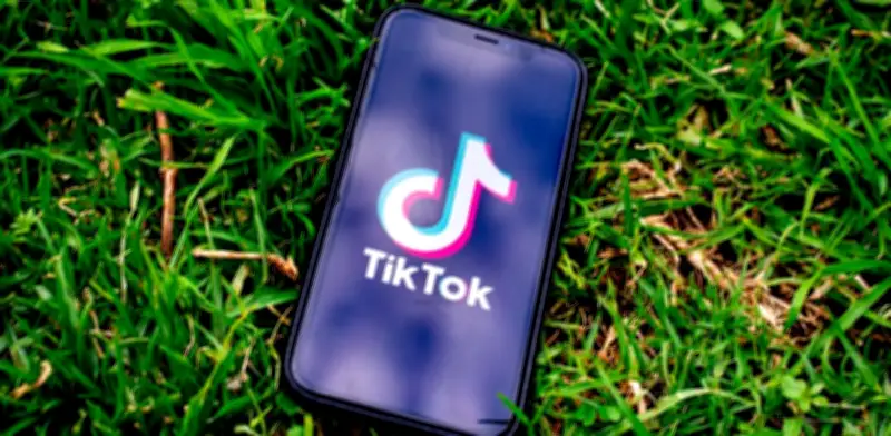 Joven de 17 años desaparece en Nuevo León tras oferta de empleo en TikTok