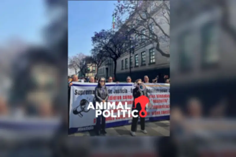 Jueces y Magistrados Separados del Cargo Reciben Indemnizaciones Millonarias en Reforma Judicial