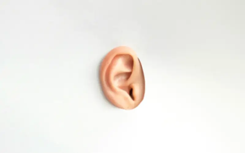 La Cera de los Oídos: Un Indicador Clave de Tu Salud General