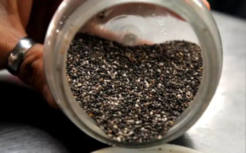 La chía, la semilla mexicana con beneficios comprobados para la salud cardiovascular