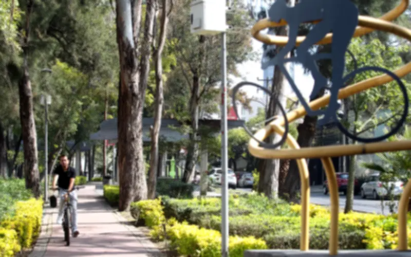 La Inactividad Física: Un Problema de Salud Pública que Exige Acción Política Urgente