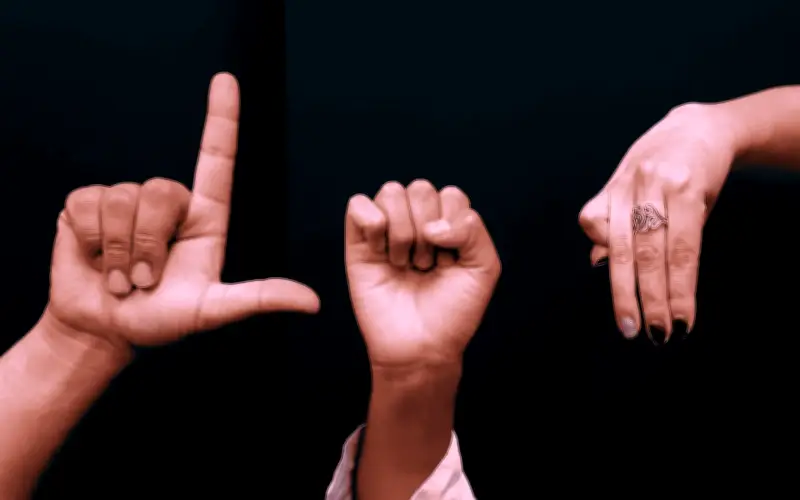 La Lengua de Señas Mexicana: Un Pilar Esencial para la Inclusión y la Justicia Social