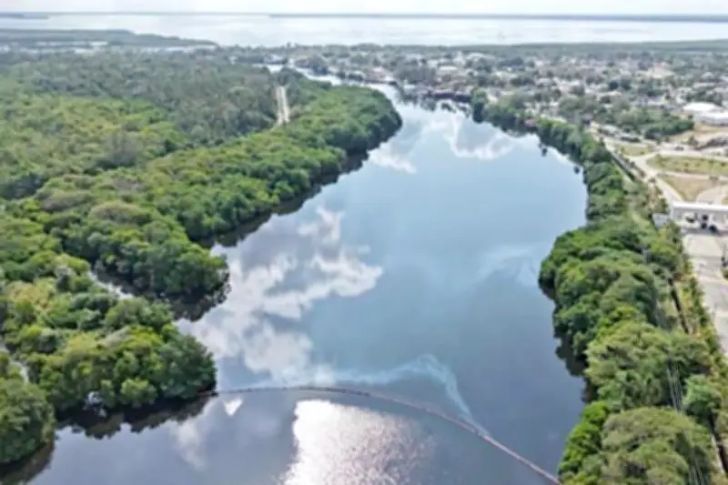 La mancha de contaminación en el Golfo de México se expande, afectando ecosistemas marinos