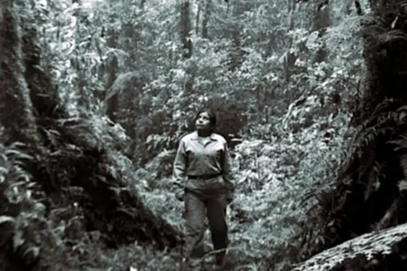 La película 'La Reserva' gana el premio principal en el Festival Cinelatino de Francia