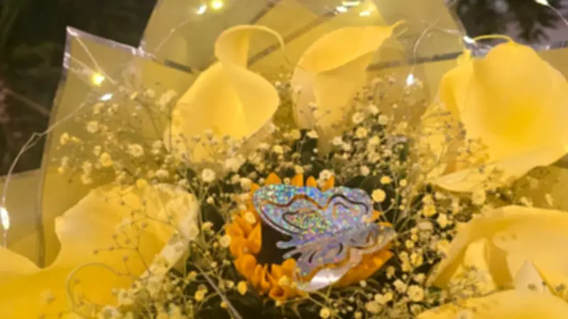 La tradición de regalar flores amarillas el 21 de marzo: origen y significado