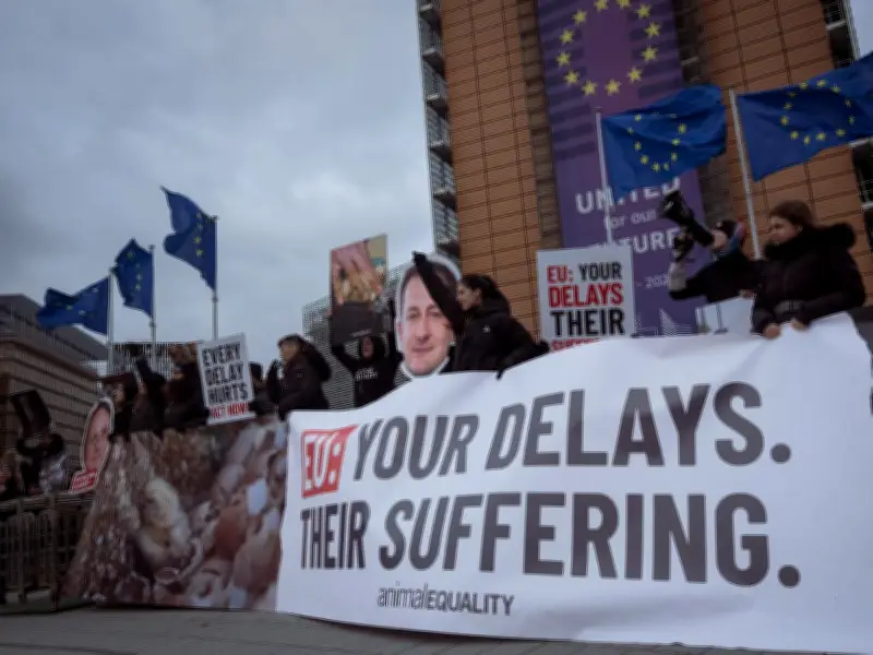 La UE enfrenta presión judicial por incumplir su compromiso de eliminar jaulas en granjas