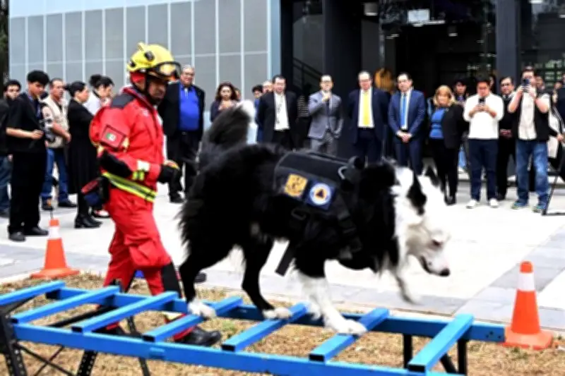 La UNAM incorpora perros entrenados para detectar riesgos en sus instalaciones
