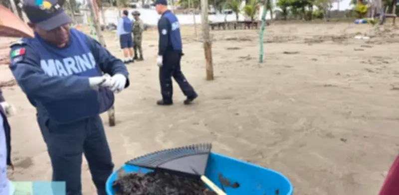 Limpieza de hidrocarburos en Golfo de México alcanza 88% de avance con 94.7 toneladas recolectadas