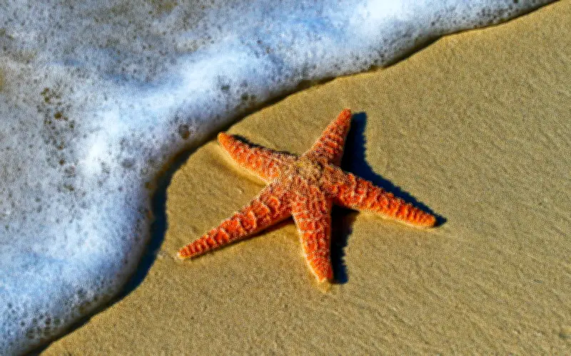 Liverpool lanza 5 ofertas imperdibles para viajar en Semana Santa 2026