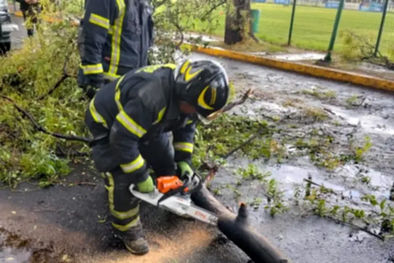 Lluvias intensas dejan estela de árboles caídos y severos encharcamientos en la CDMX