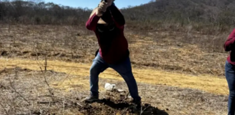 Localizan nueva fosa clandestina en Concordia, Sinaloa; suman 15 cuerpos