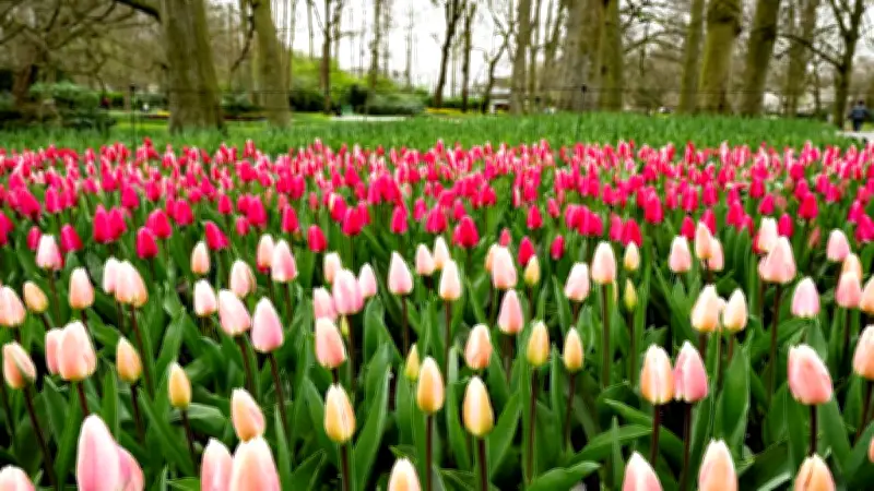 Los jardines más espectaculares de Europa para visitar en primavera 2026