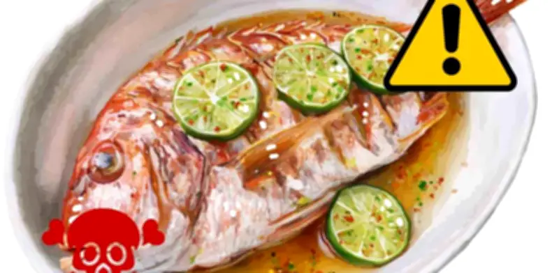 Los Pescados Más Tóxicos del Mundo: Especies Peligrosas y Riesgos para la Salud