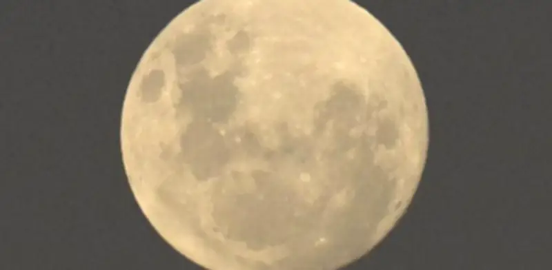 Luna de Flores 2025: Cuándo y cómo ver la última microluna del año en México