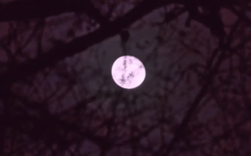 Luna Rosa 2026 en México: Fecha, Hora y Significado Cultural del Evento Astronómico