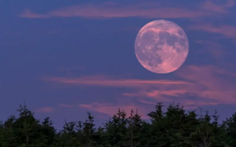 Luna Rosa 2026: Guía Completa para Observar el Fenómeno Astronómico de Abril en México