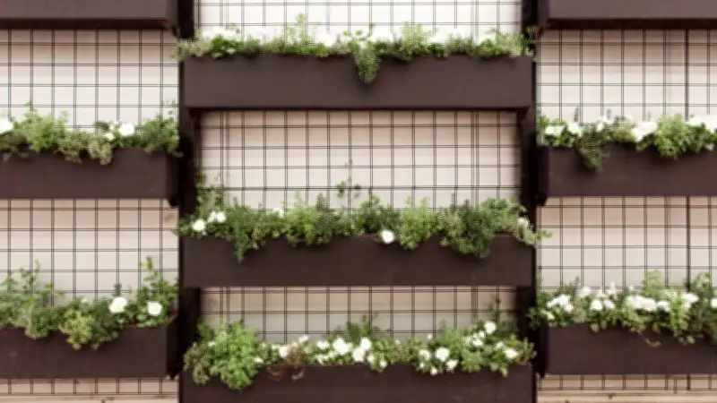 Macetas Metálicas Negras: La Revolución en Decoración de Plantas para 2026