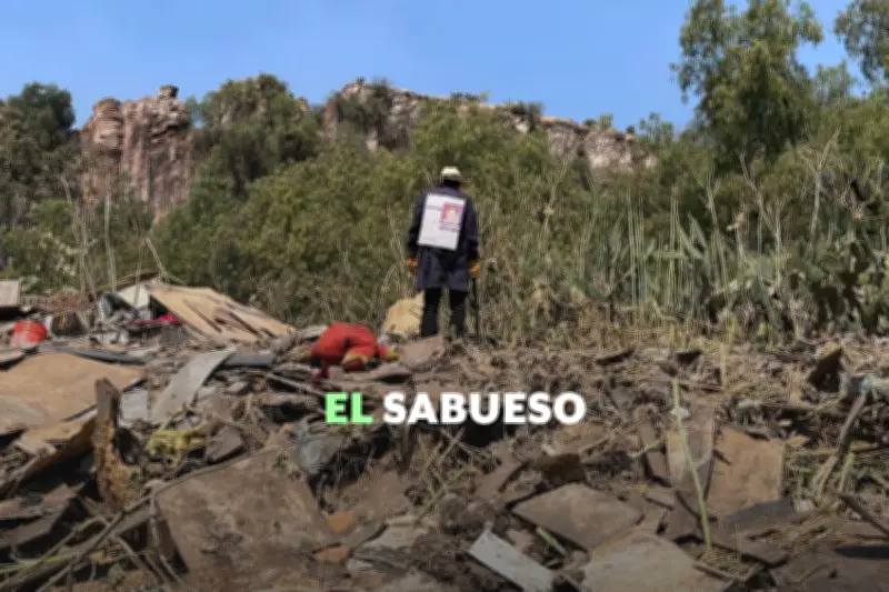Madres Buscadoras Denuncian Falta de Apoyo Institucional en Búsquedas de Desaparecidos