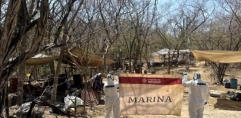 Marina destruye narcolaboratorio de metanfetamina en bastión de Los Chapitos en Sinaloa
