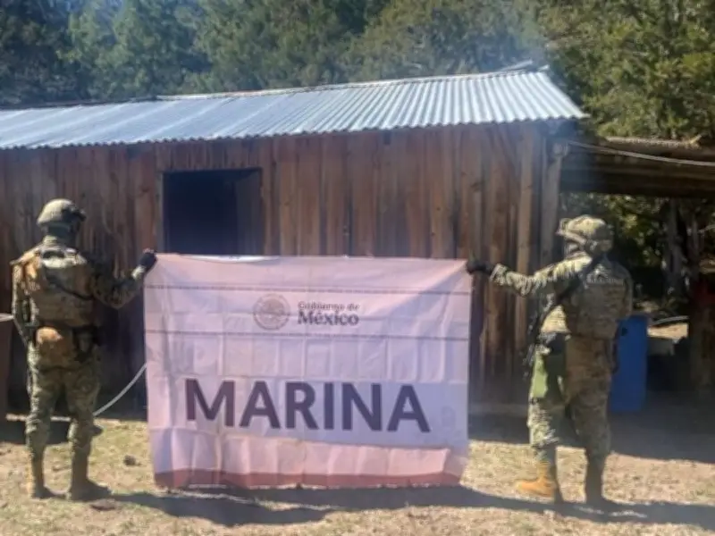 Marina neutraliza dos laboratorios de droga en Durango con químicos peligrosos