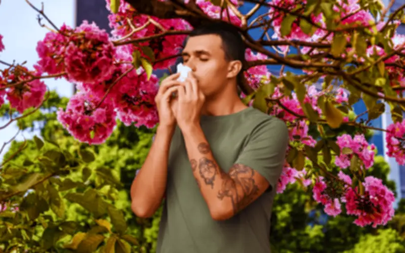 Marzo, el mes crítico de las alergias en México: ¿Por qué se intensifican?