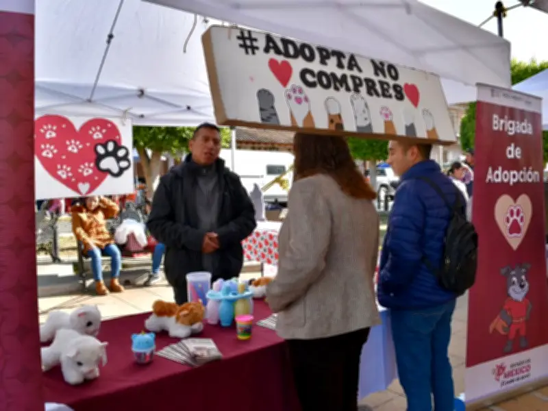 Mexicaltzingo convoca a jornada CERA para esterilización y cuidado de mascotas